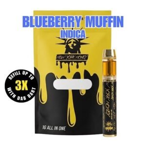 Blueberry Muffin AIO 1g