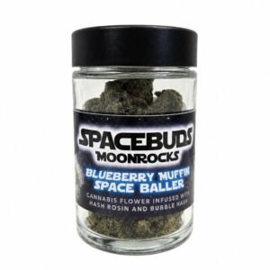 Blueberry Muffin Moonrocks 28g