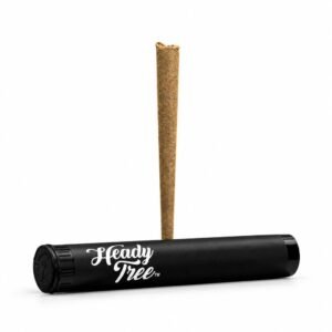 First Class Gas Blunt Single 1g