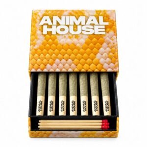 G6 Infused Preroll Multi-Pack 0.5g | 7pk