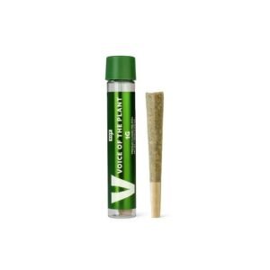 Lemon Cherry Sherbert Preroll Single 1g