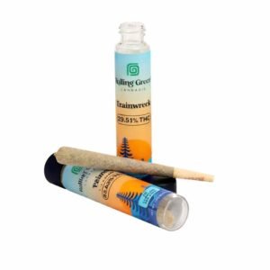 Trainwreck Preroll Single 1g